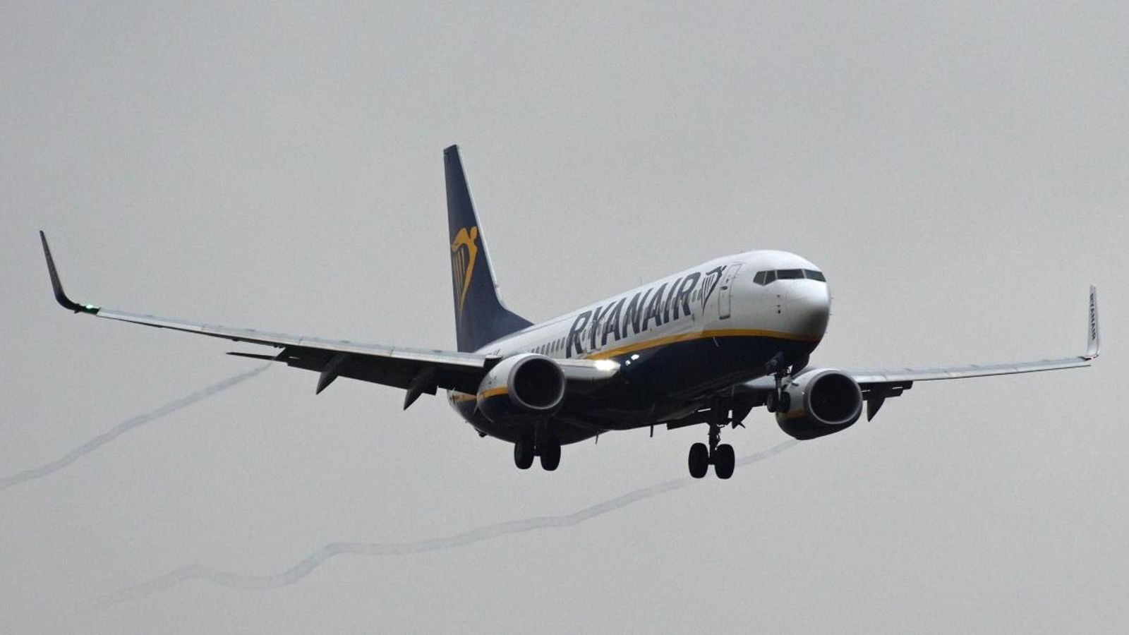 Avió de l'aerolínia irlandesa Ryanair, en una imatge d'arxiu