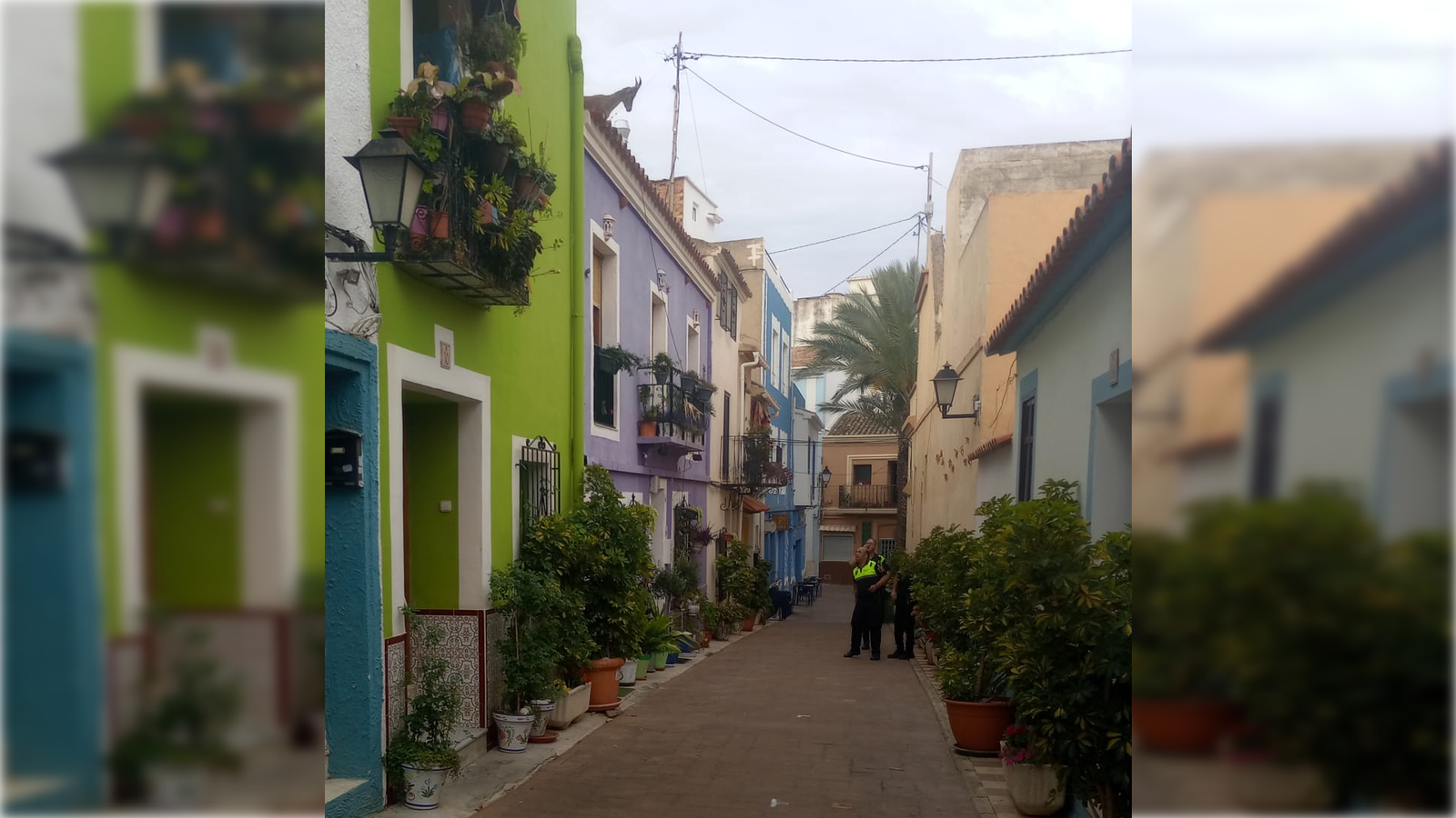 La cabra muntesa trau el cap per la teulada d'una de les cases del centre de Calp