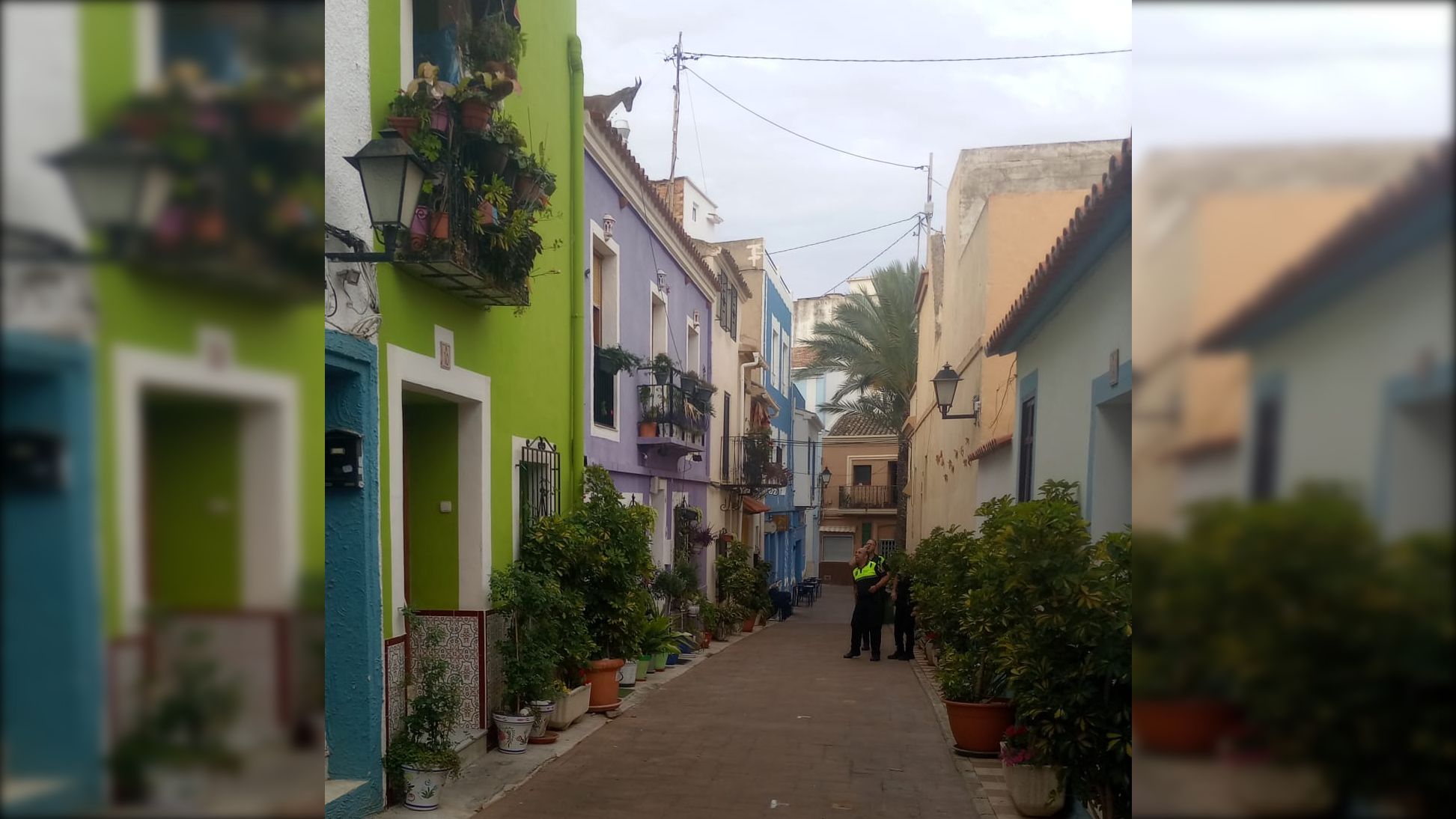La cabra salvatge trau el cap per la teulada d'una de les cases del centre de Calp La cabra muntesa trau el cap per la teulada d'una de les cases del centre de Calp