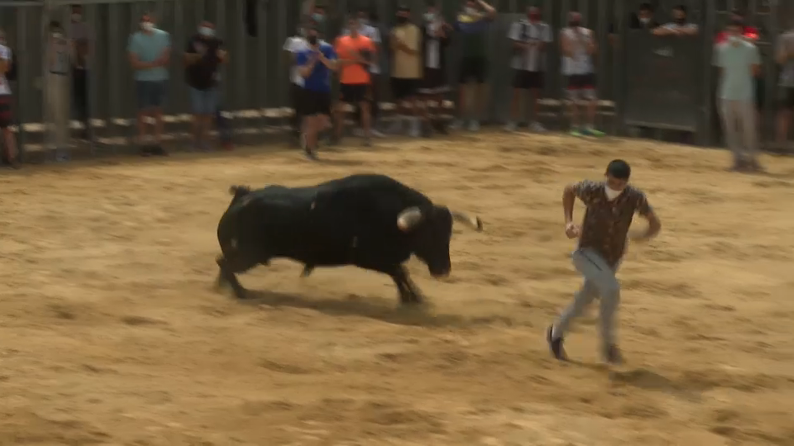 Els bous al carrer tornen a Meliana