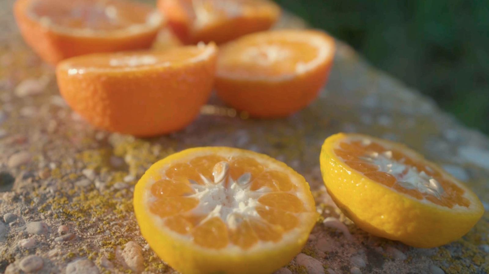 Cuina amb mandarina