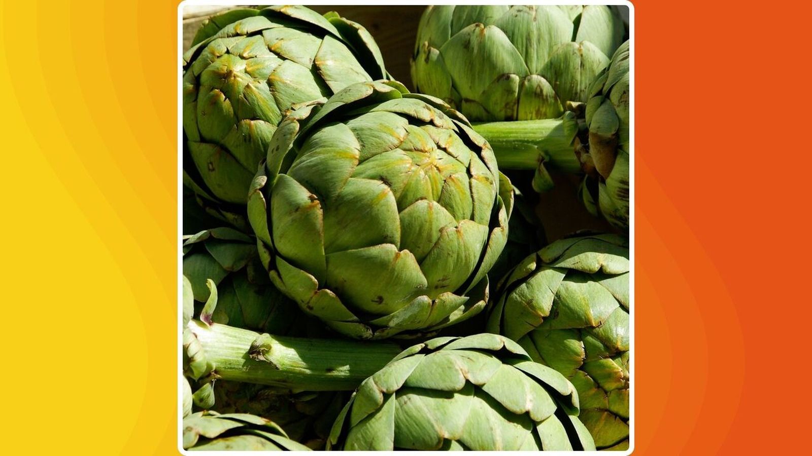 20.01.2026 | "Nutrició", amb Clara Llorens | Els beneficis de la carxofa