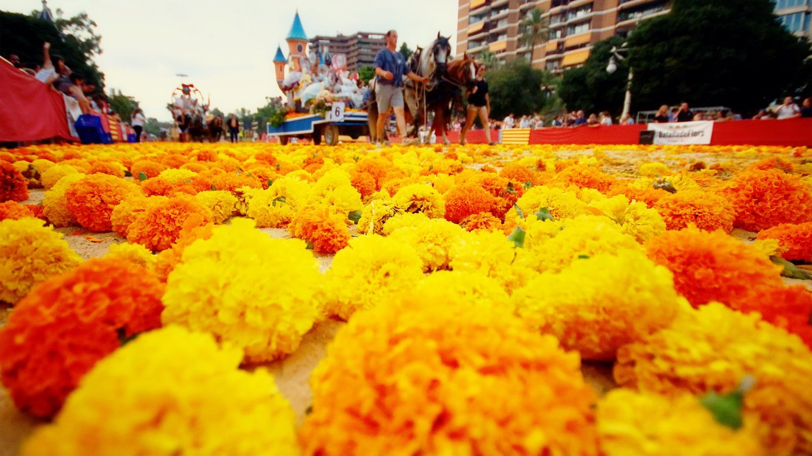 El passeig de l'Albereda, cobert de clavellons en una edició anterior de la Batalla de Flors