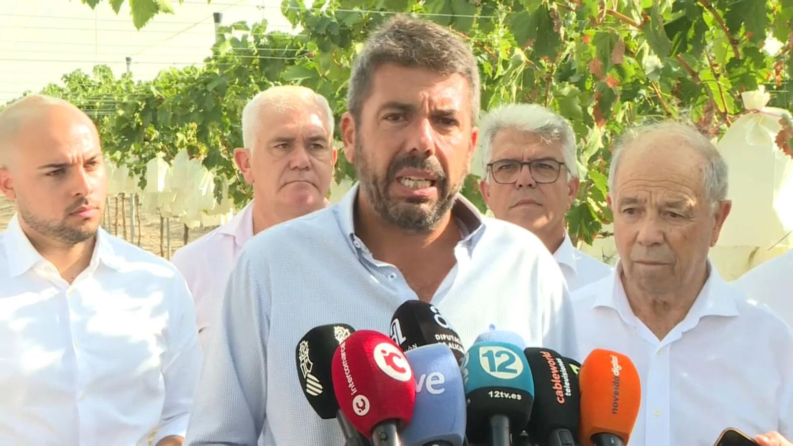 El cap del Consell, Carlos Mazón, durant l'acte de tall del raïm del Vinalopó