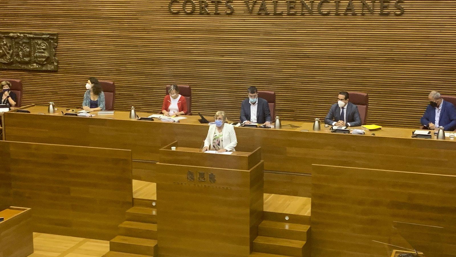 La consellera de Sanitat, aquest dilluns en les Corts