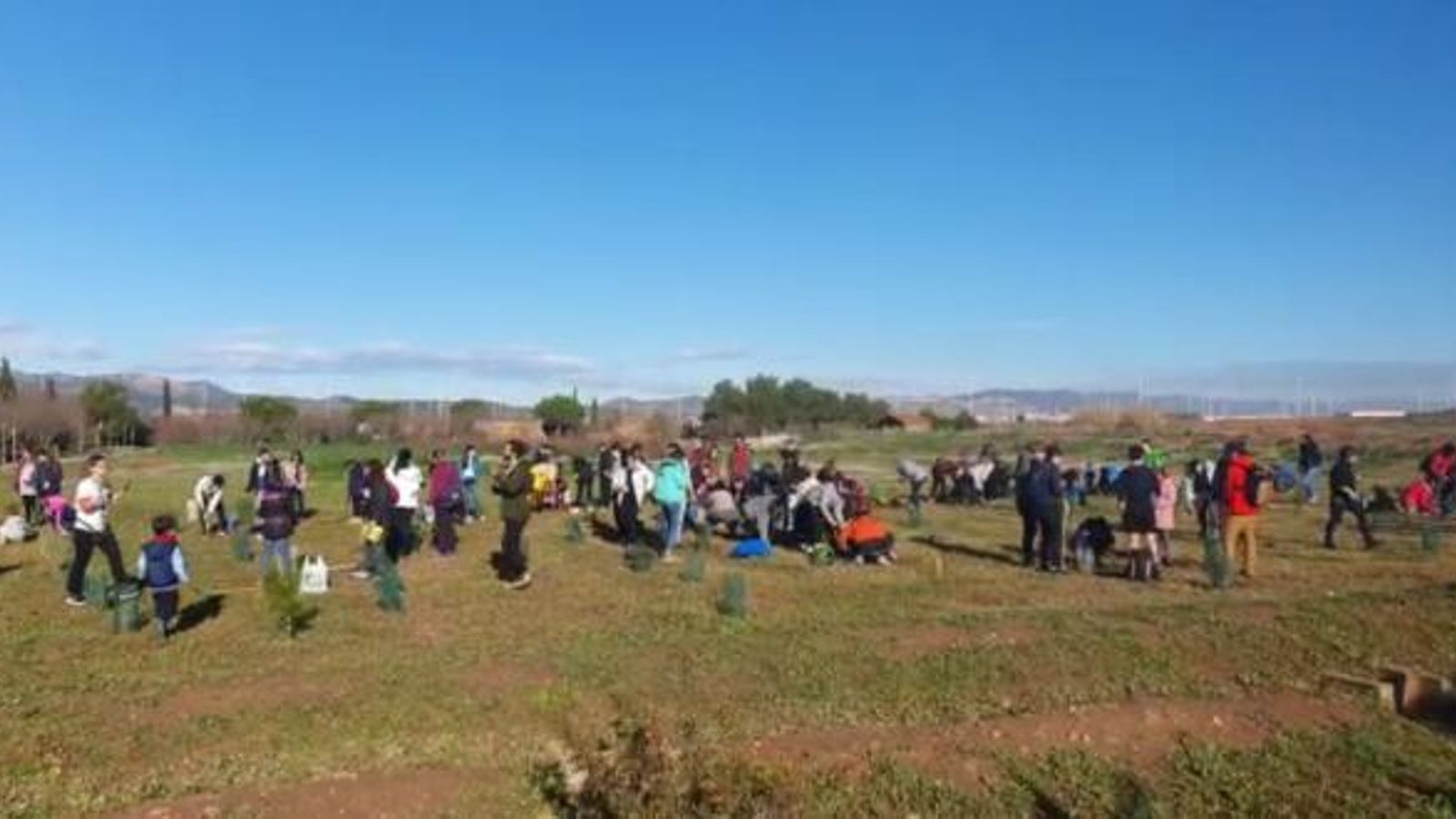 Reforestació a la marjal dels Moros i neteja de la platja per a celebrar el Dia de l\'Educació Ambiental