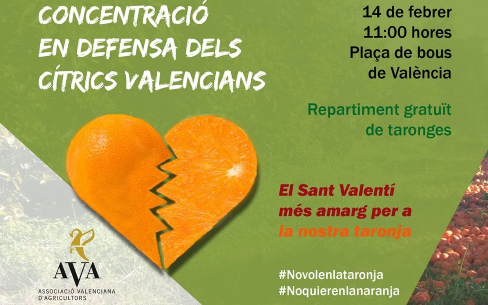 14.02.2019 | NM Parlem amb Cristóbal Aguado, sobre el repartiment de 4.000 quilos de taronges com a protesta