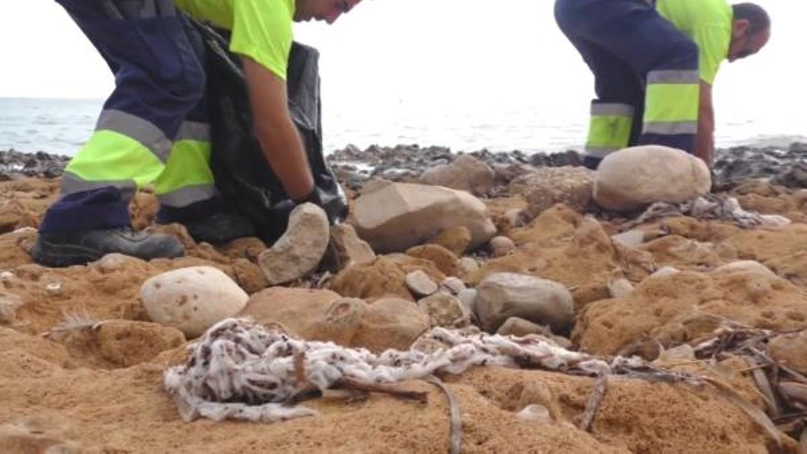 El tram del litoral del Primer Muntanyar de Xàbia ha amanegut aquests dies ple de restes de tovalloletes humides