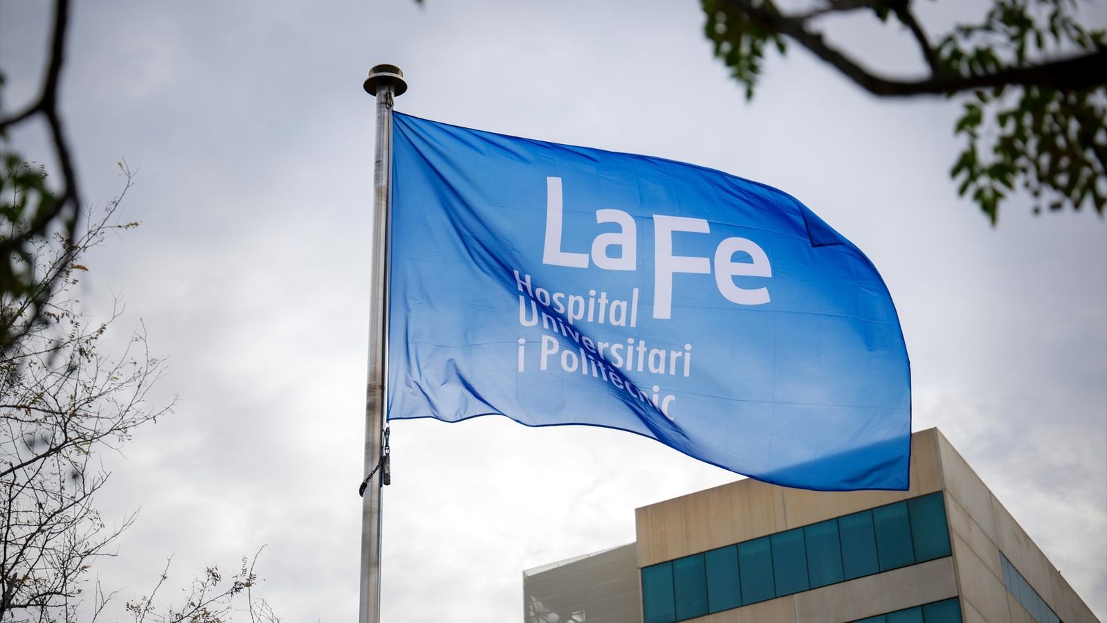 Nou tractament de La Fe contra l'infart de miocardi agut