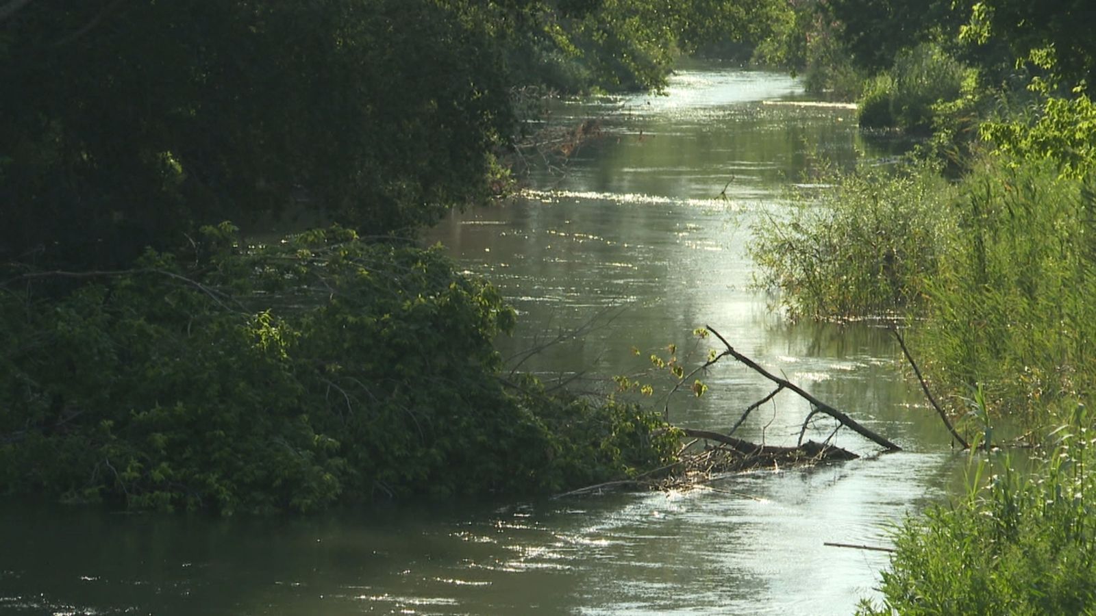 Xúquer Viu denuncia que el futur del riu està en perill amb el nou pla hidrològic, mentre que la CHX defensa la seua supervivència