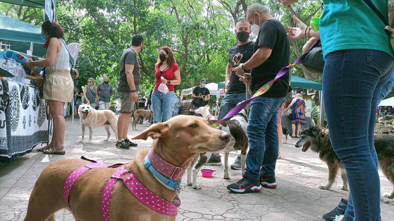 Fins a 40 protectores participen en la VI Fira Animalista de València
