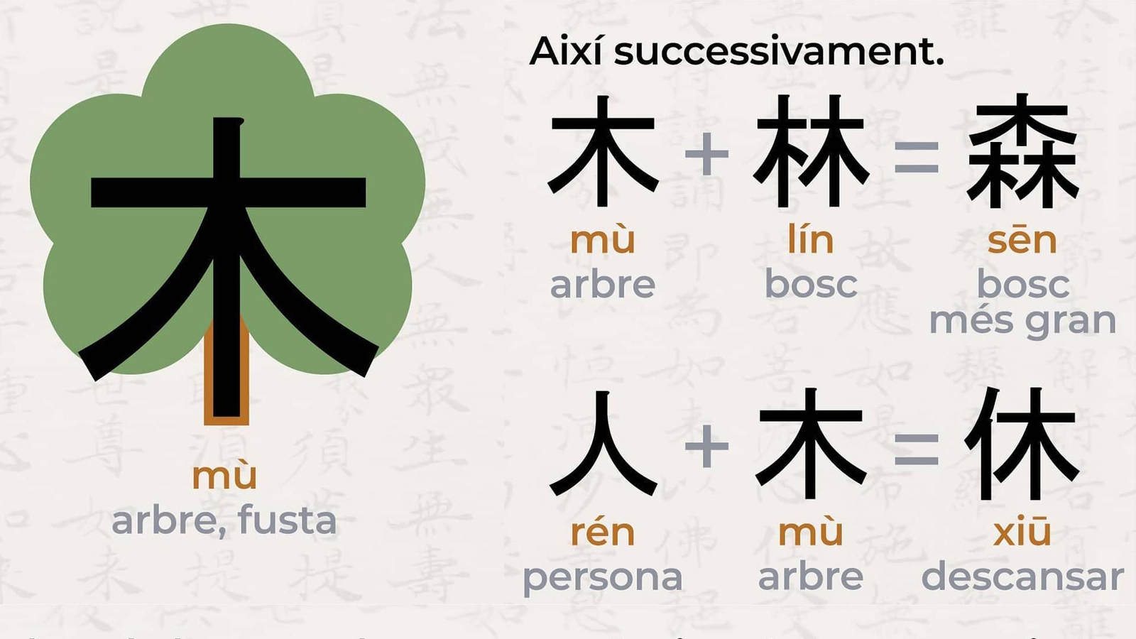 Exemple de l'arbre o la fusta en xinés