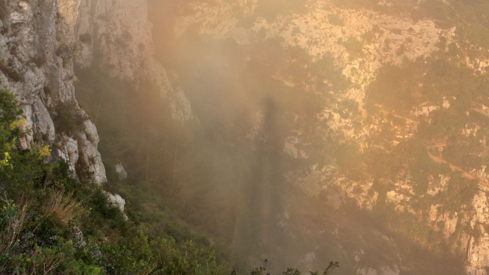 El Montgó, Andrés Fornés