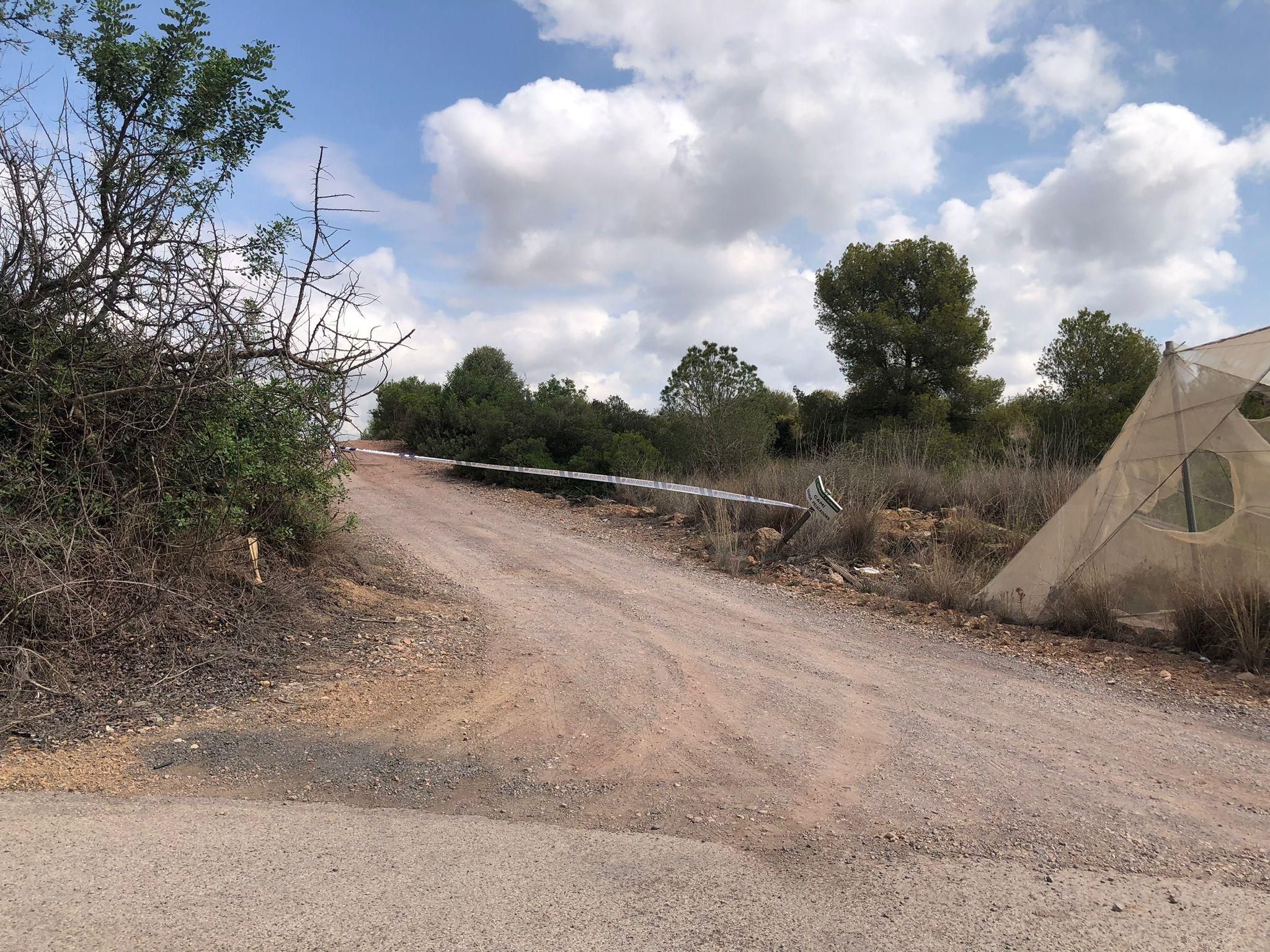 Imatge de la zona on ha sigut gravat el bou Imatge de la zona on ha sigut gravat el bou