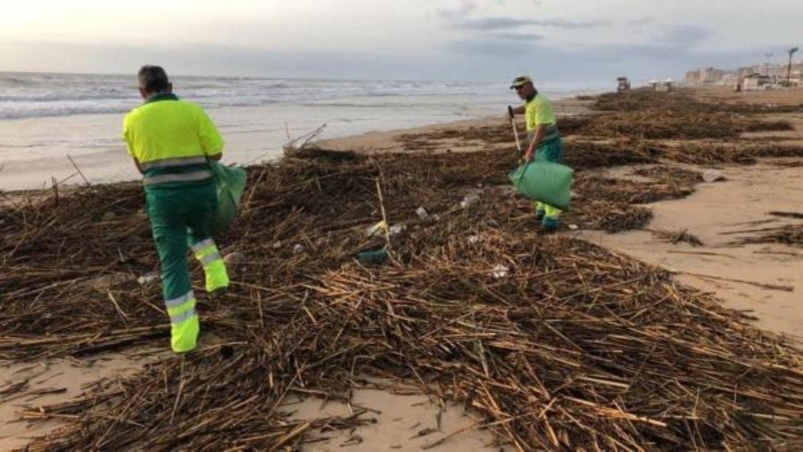 Dos operaris retiren la brutícia d'una platja de Guardamar del Segura