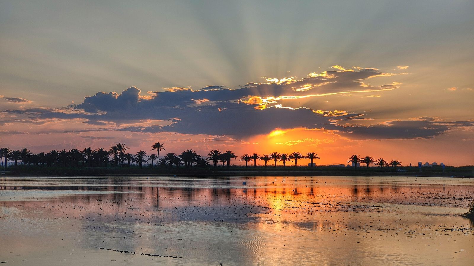 El Saler, ahir, València