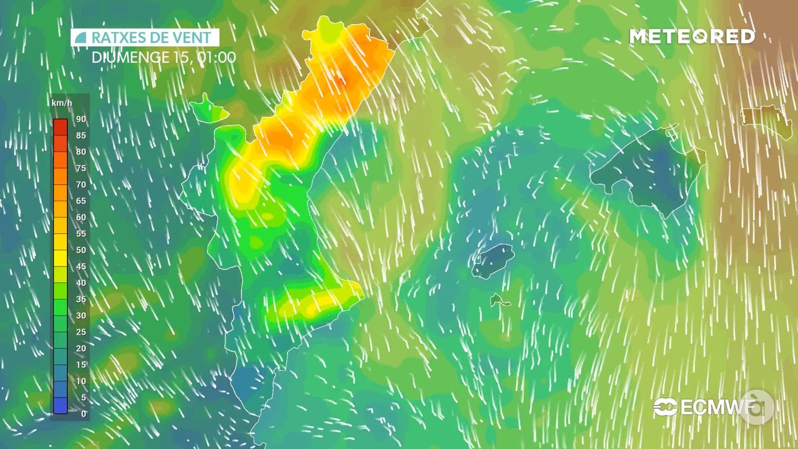 RATXES MÀXIMES DISSABTE NIT