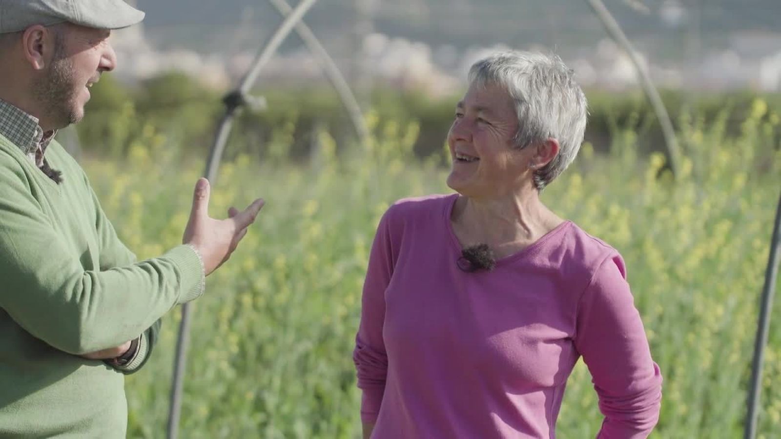 Xàtiva: fideuà de verdures amb allioli d\'alfàbega