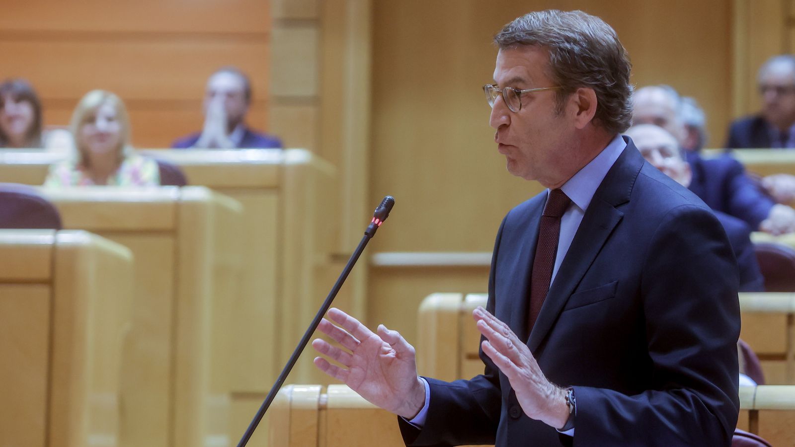 Alberto Núnez Feijóo intervé en la sessió plenària al Senat
