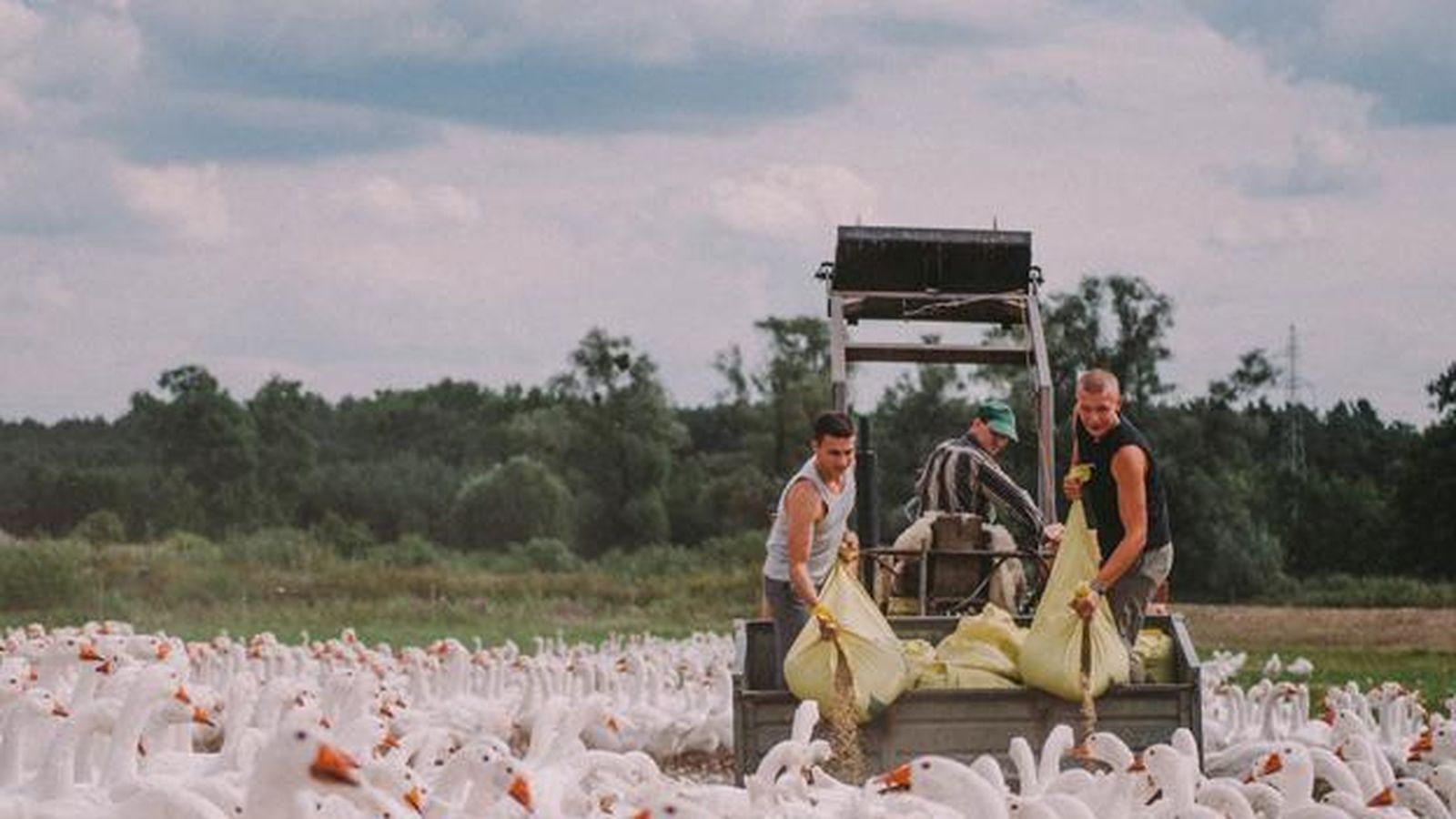 Fotograma de 'Light as Feathers'