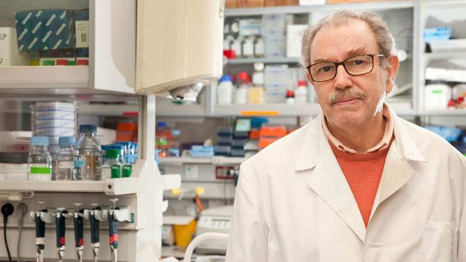 L'investigador del CSIC i responsable del Laboratori de Parasitologia Molecular, Vicente Larraga