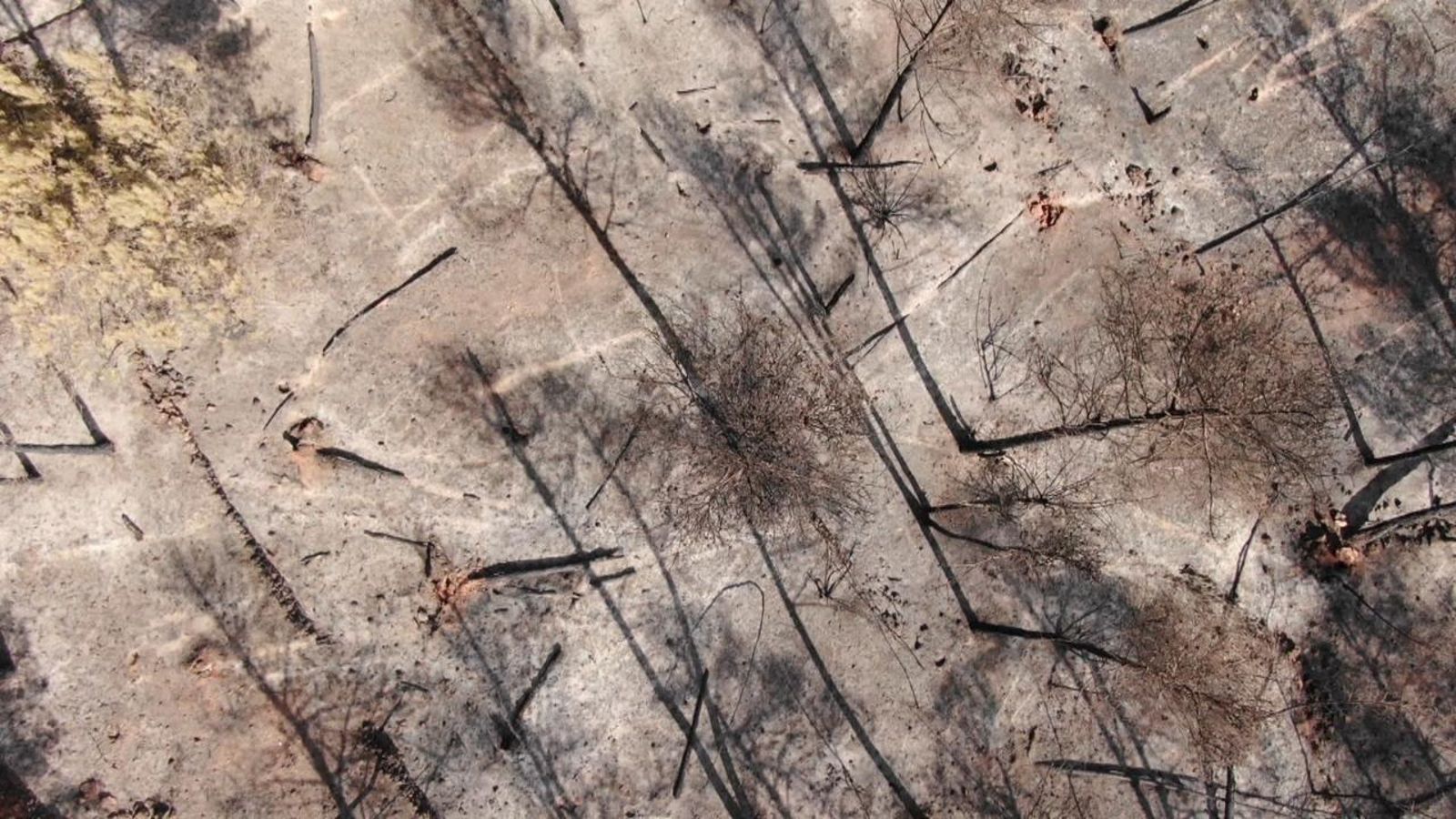 Imatge aèria de l'Alt Millars després de l'incendi