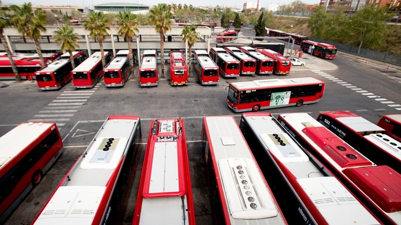 Imatge d’arxiu de la flota d’autobusos de l’EMT
