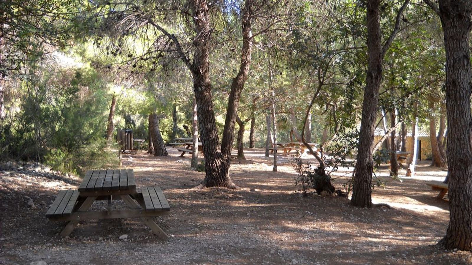 La Canyada del Conill en Torrent (l'Horta), lloc on s'ha trobat a la víctima