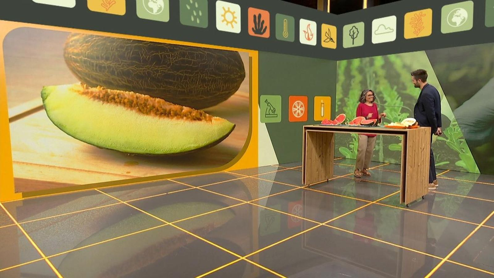 Quin és l’origen dels melons i quins beneficis aporten?