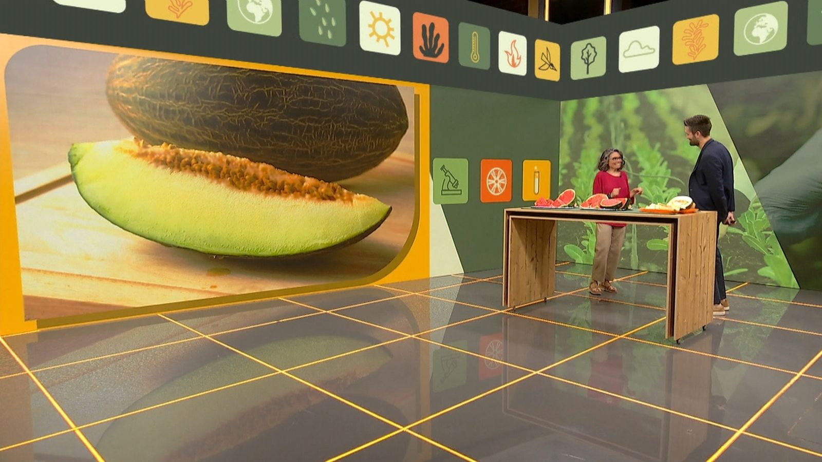 Quin és l’origen dels melons i quins beneficis aporten?