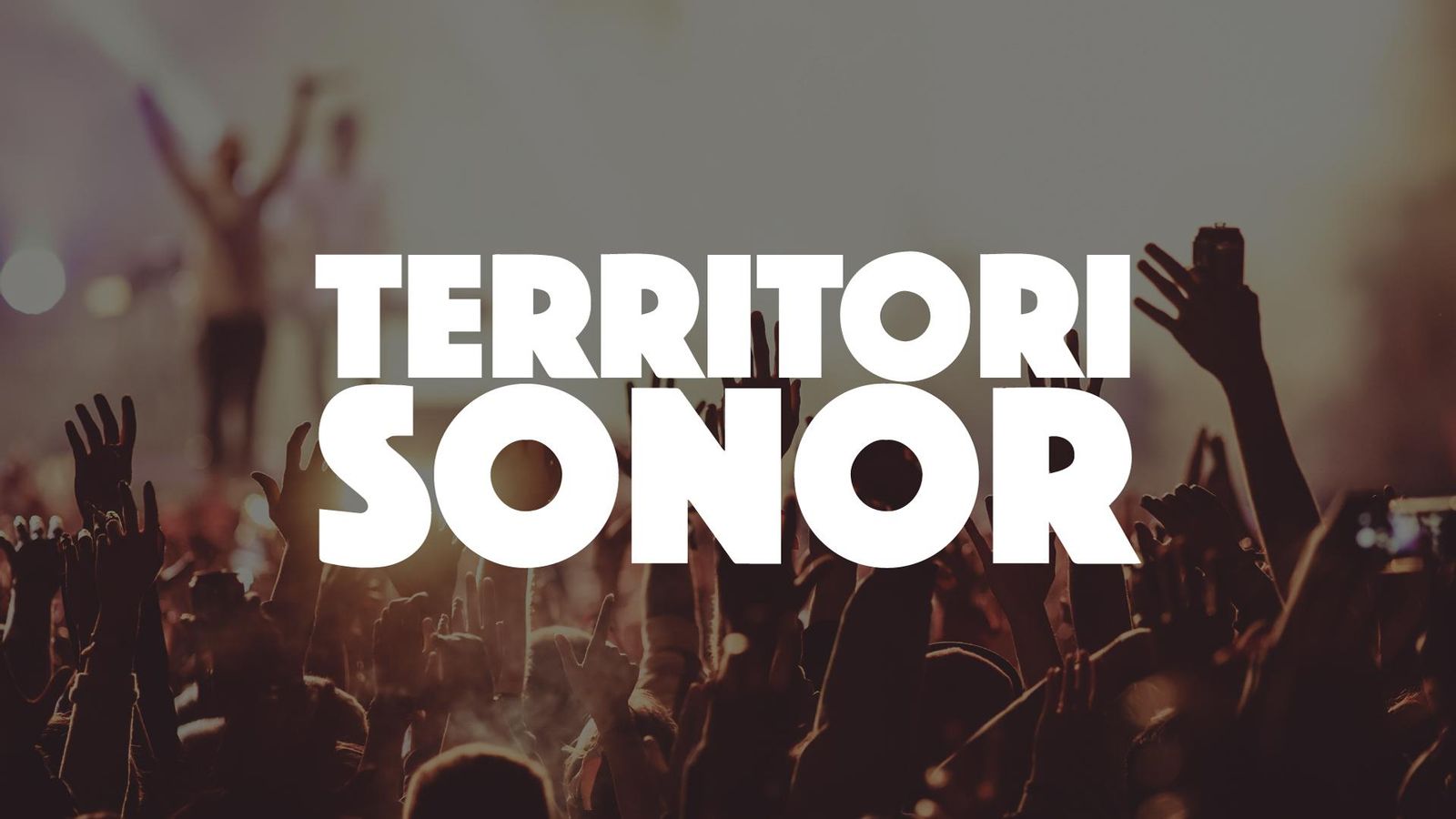 Logo Territori sonor
