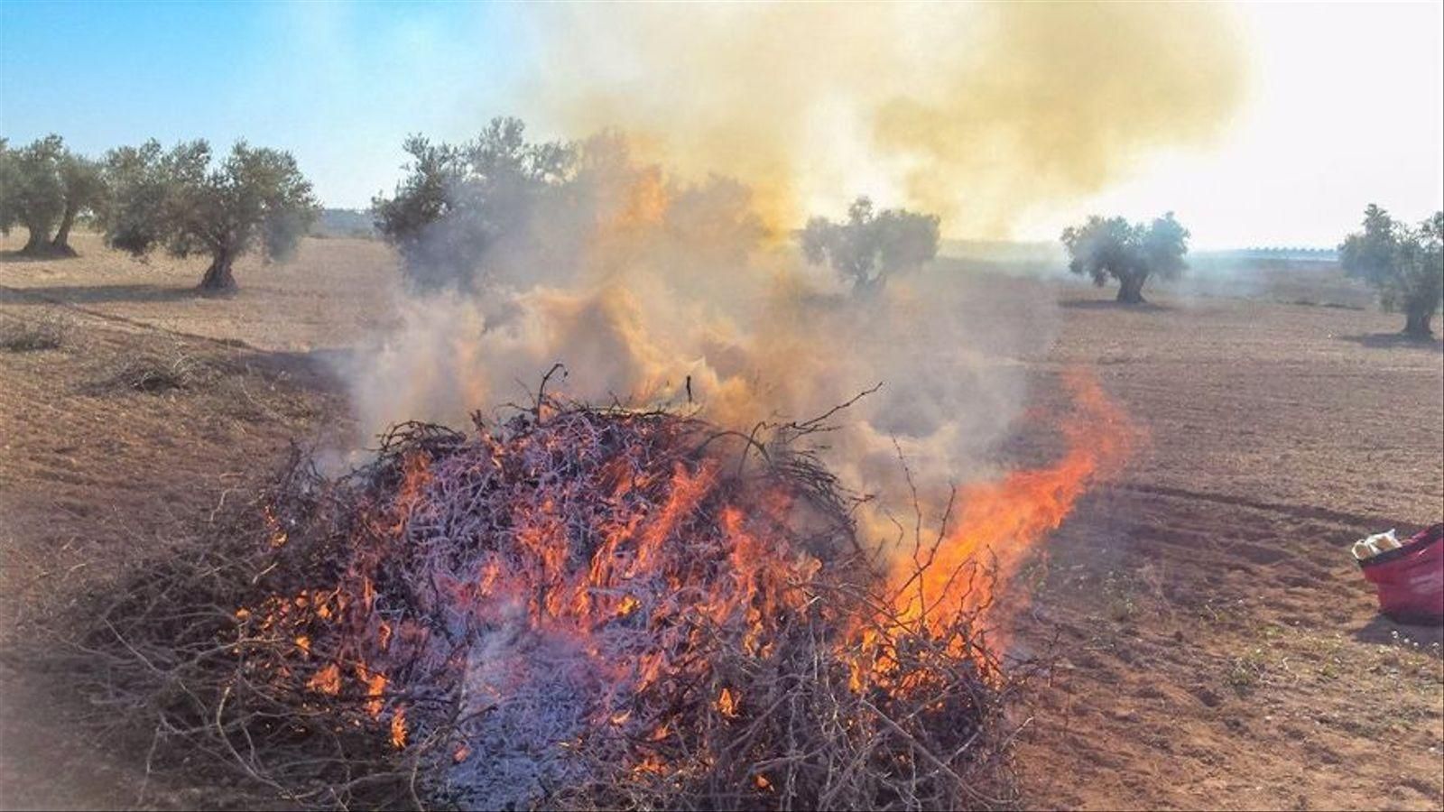 Imatge d'arxiu d'una crema de restes agrícoles