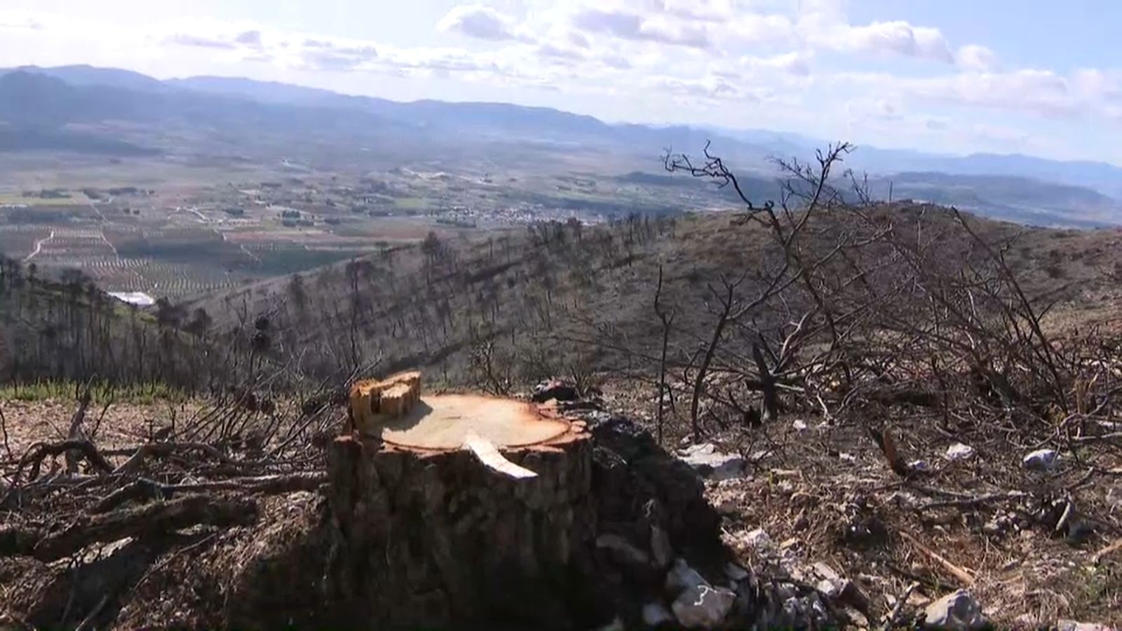 Divalterra convoca 47 places de brigadistes forestals