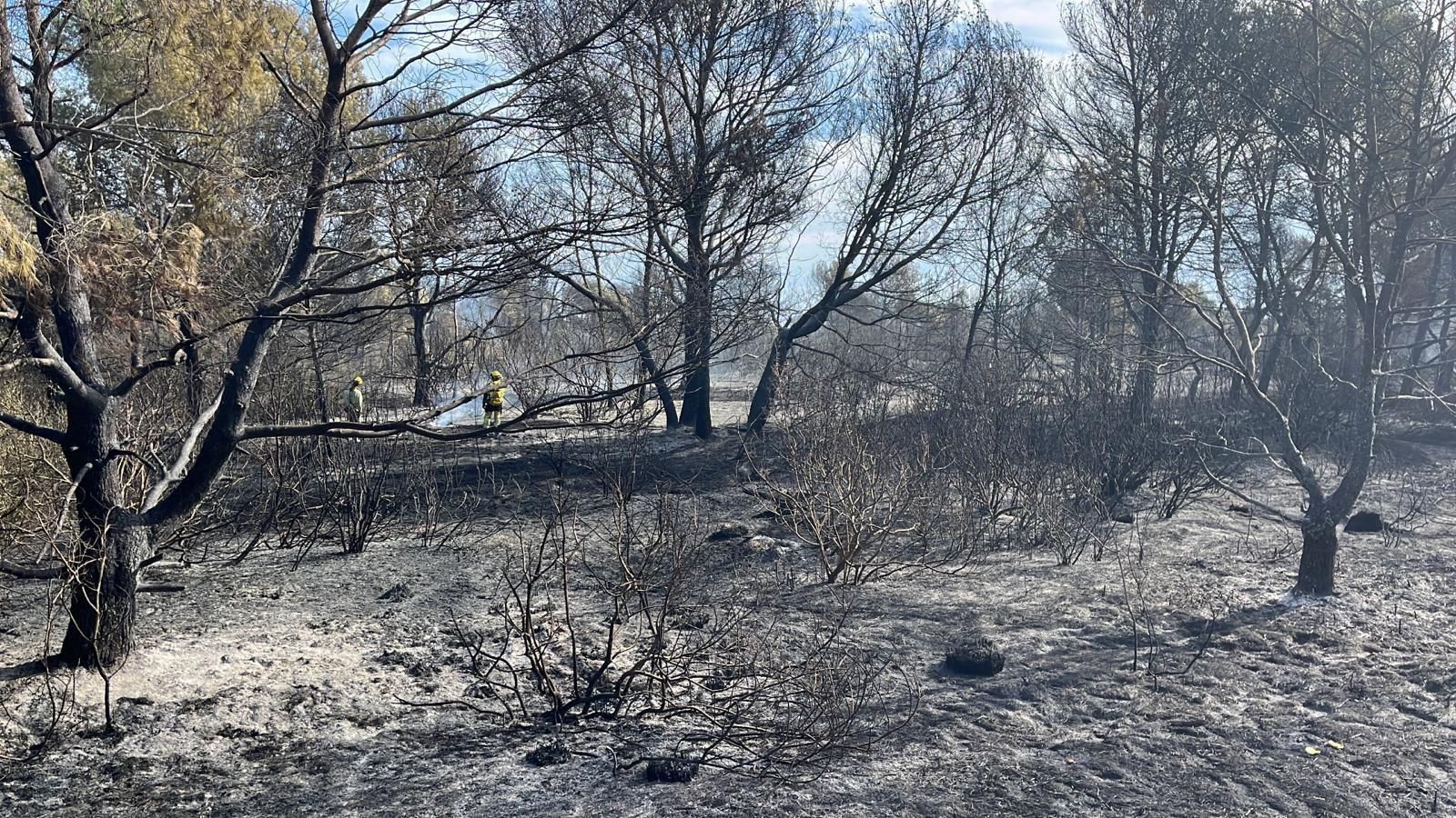 Imatge d'aquest diumenge de la zona afectada de l'incendi del Saler