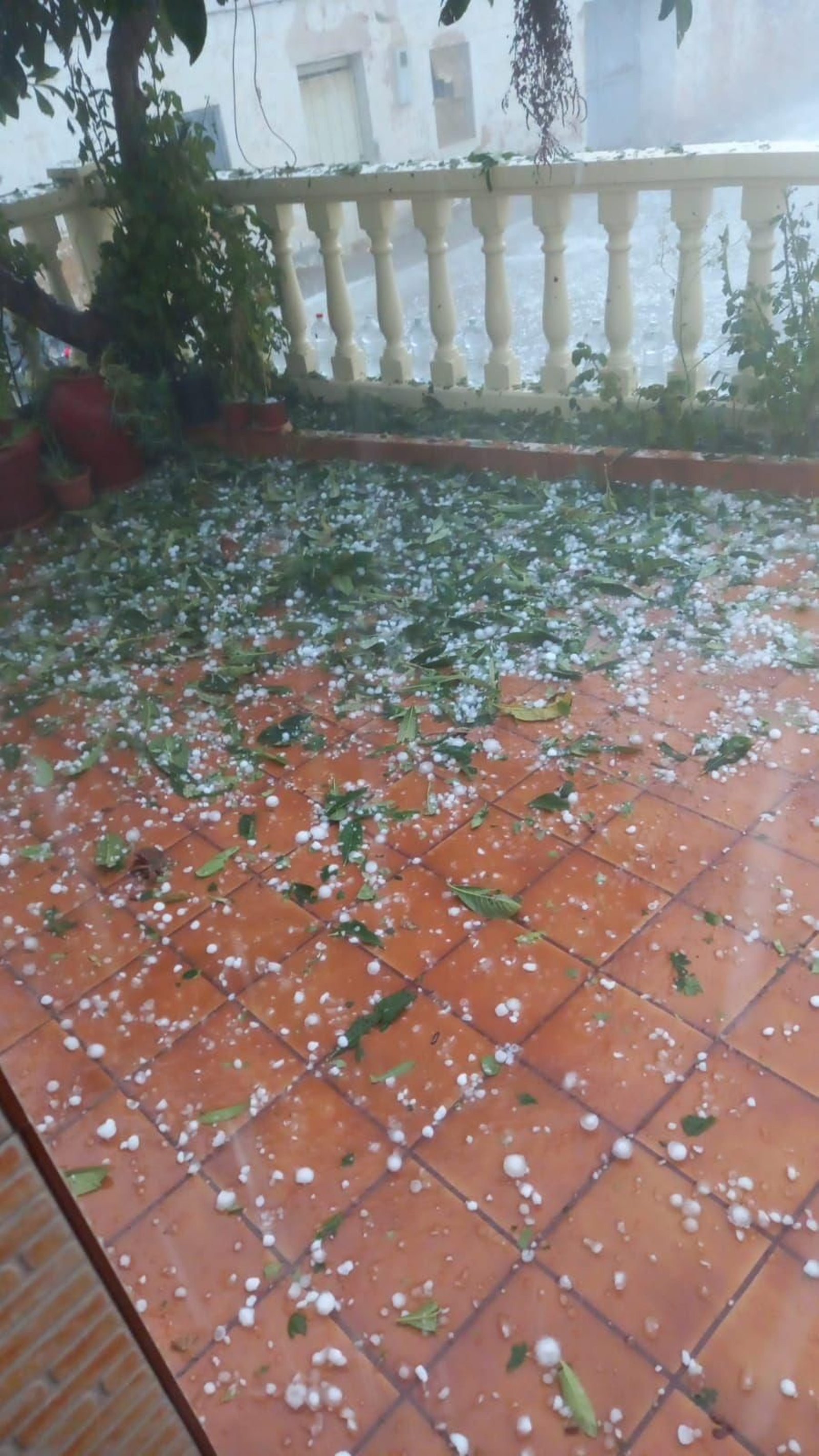 Pedregada a Camporrobles