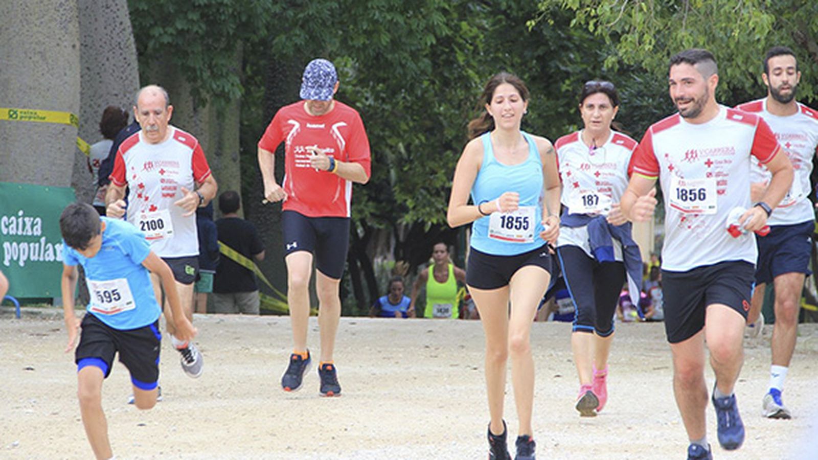 En imatge, la cursa solidària de la Creu Roja en 2017