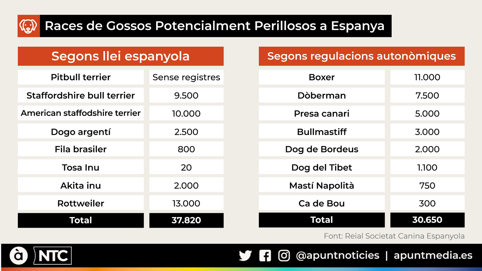 Races de Gossos Potencialment Perillosos a Espanya