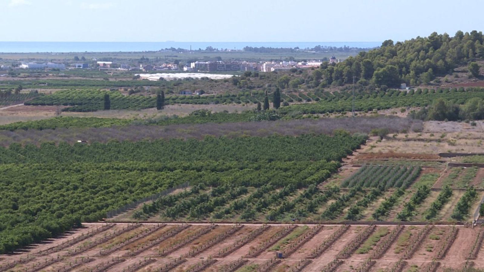 Terreny on està projectada la planta fotovoltaica