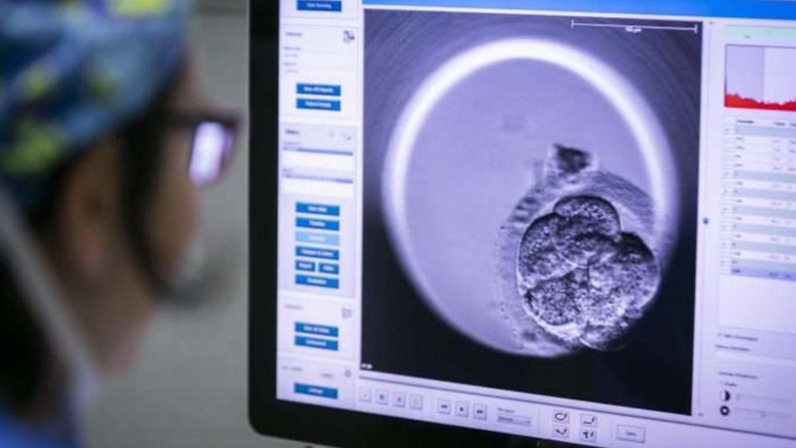 Imatge d'arxiu de l'Institut Valencià d'Infertilitat