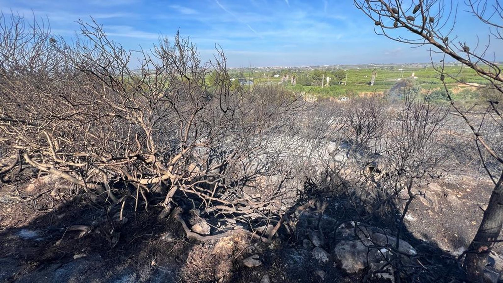 Imatge de la zona afectada per les flames
