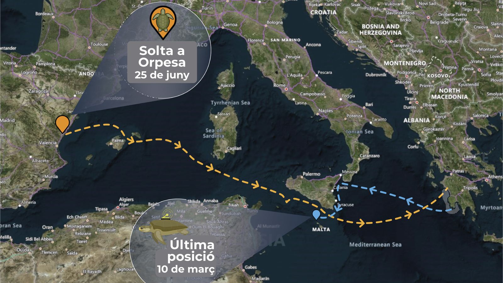 Ruta tortuga Colomera