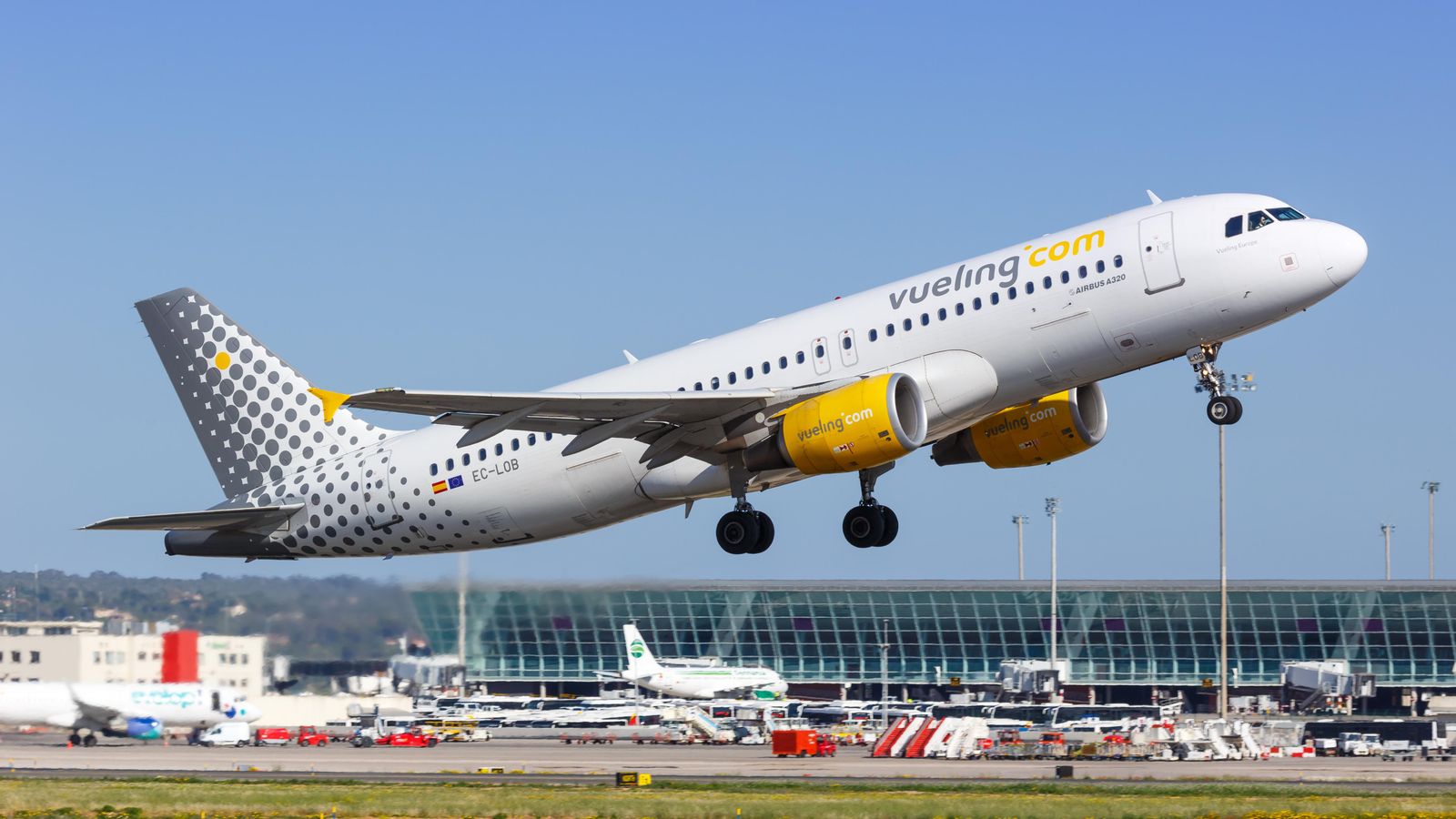 Un avió de la flota de Vueling, dins del grup IAG (arxiu)