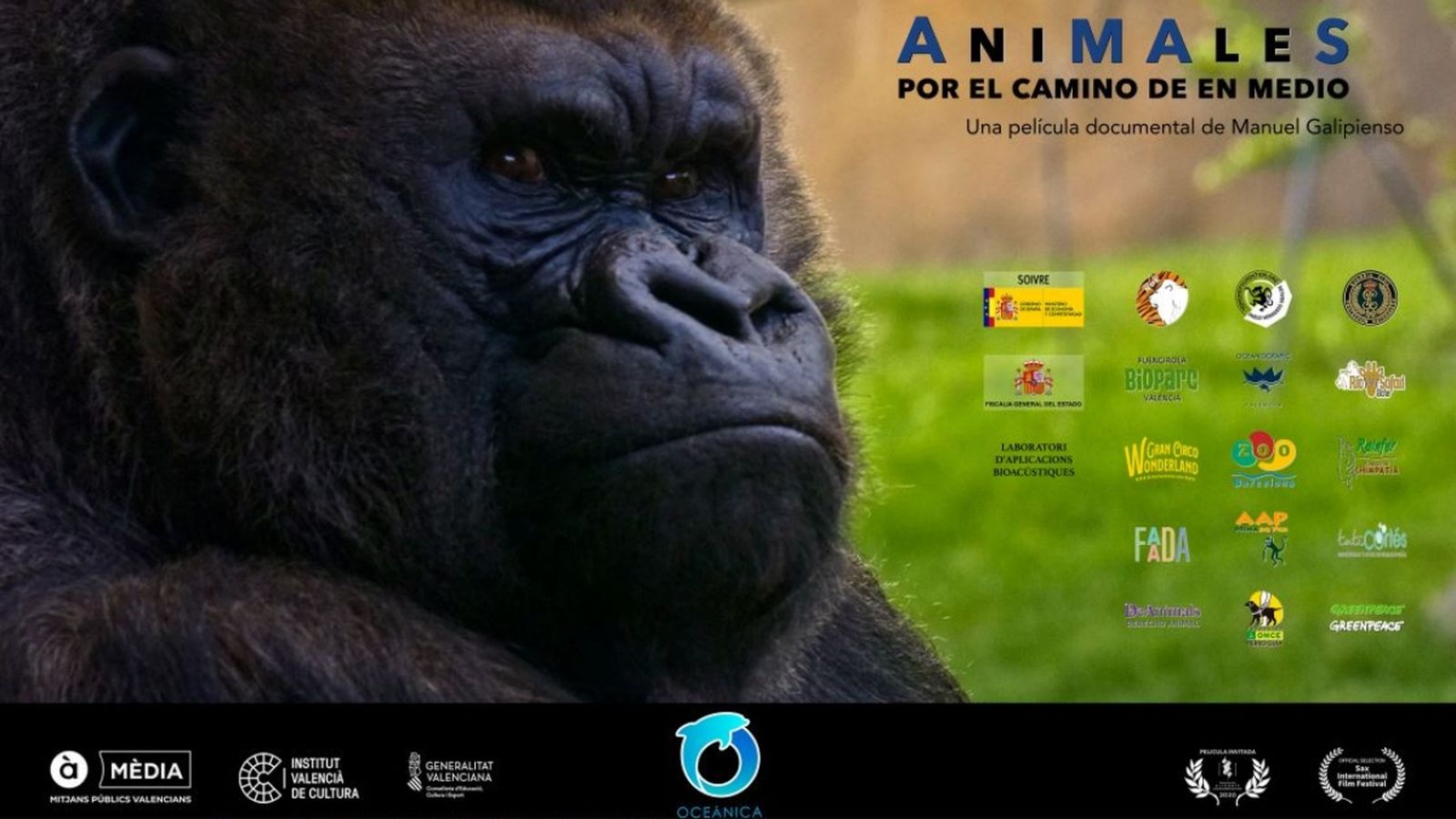 Animales, por el cmino de en medio en Les notícies de la nit