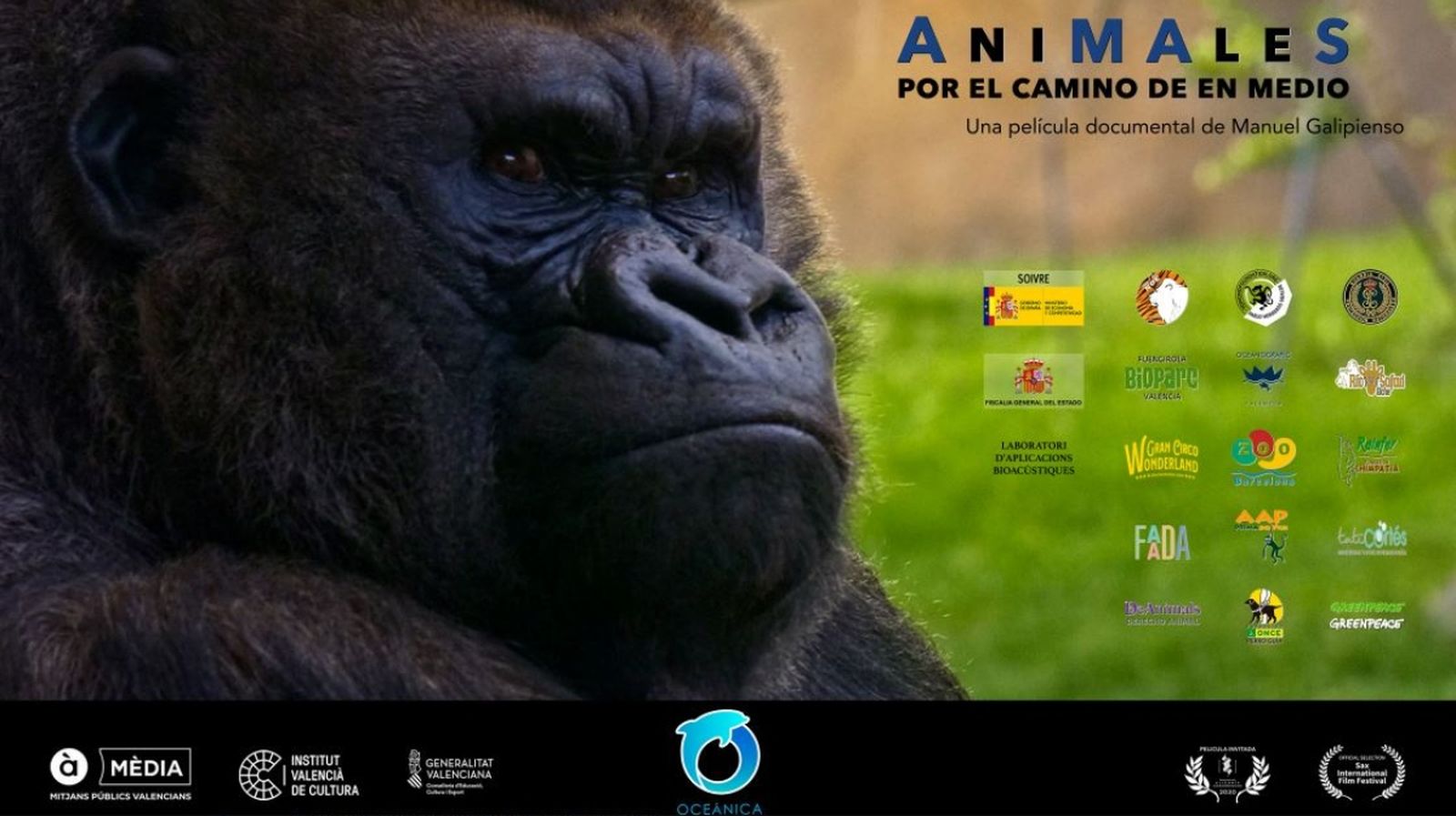 Animales, por el cmino de en medio en Les notícies de la nit