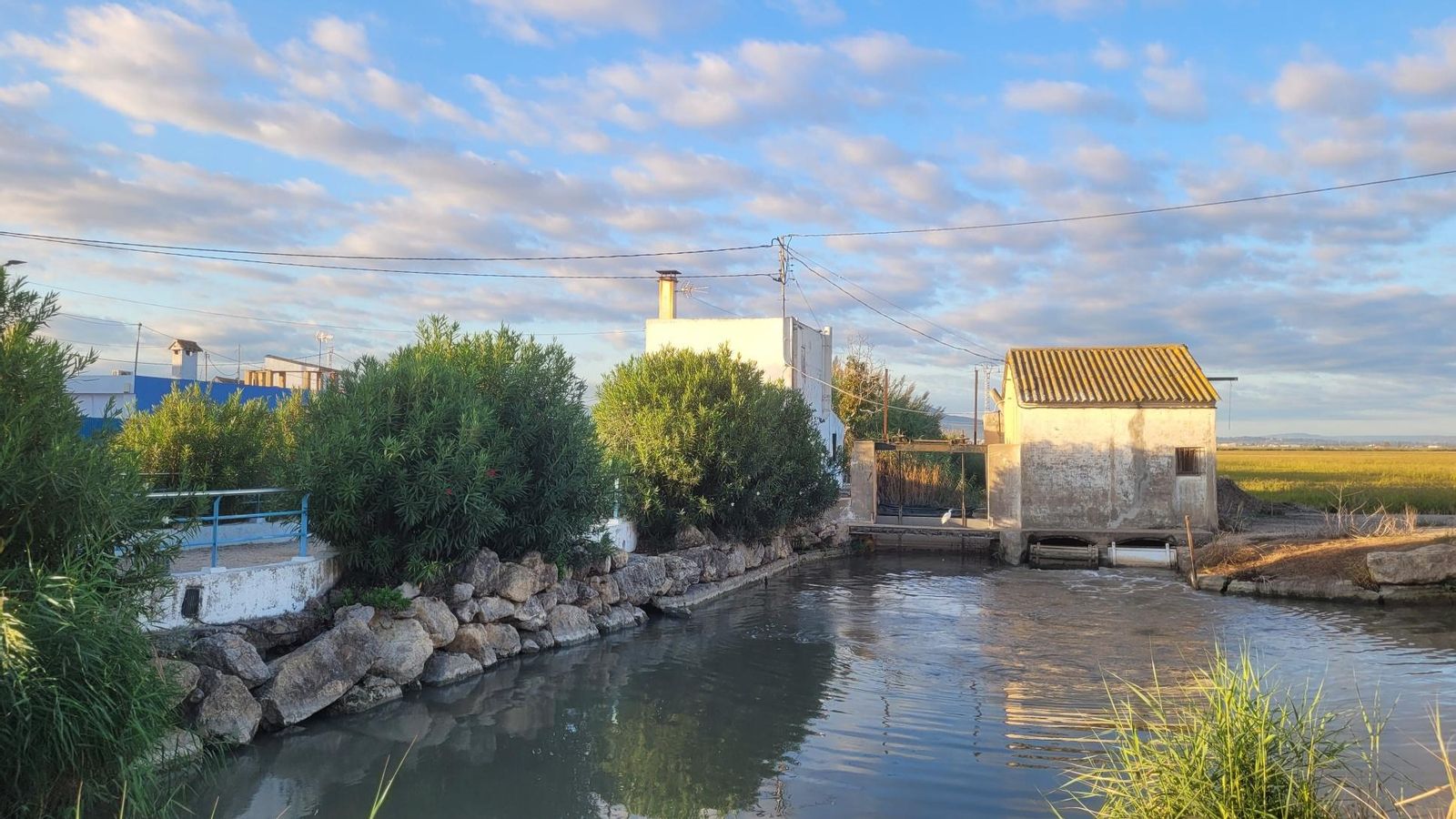 ARTURO PART, el Mareny de Barraquetes, Sueca
