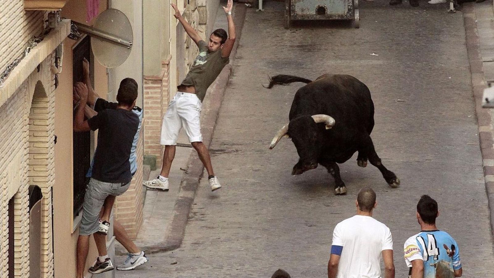Imatge d’arxiu d’un festeig taurí de bous al carrer a Puçol Imatge d’arxiu d’un festeig taurí de bous al carrer a Puçol