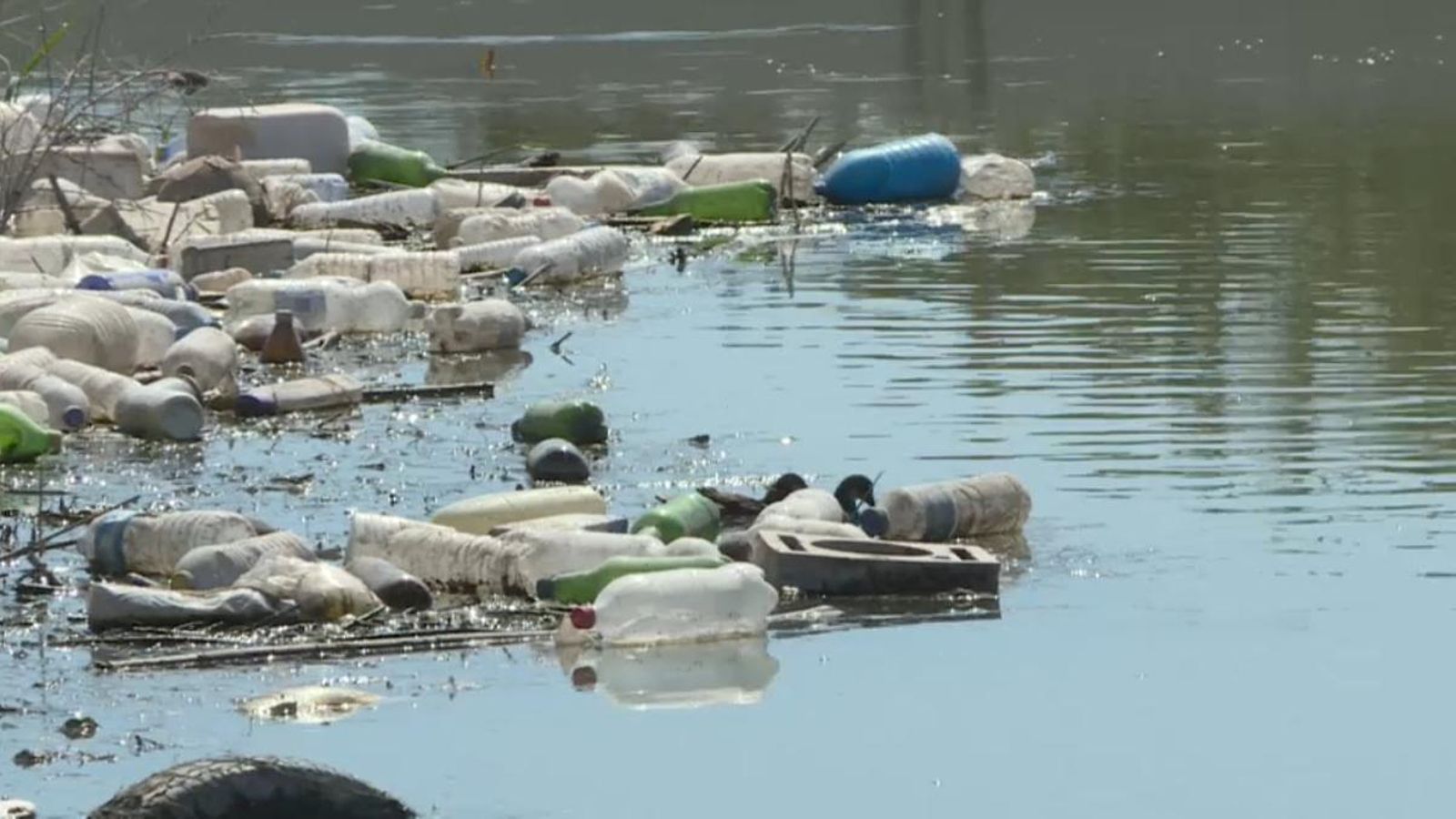 Preocupació per la brutícia al Segura
