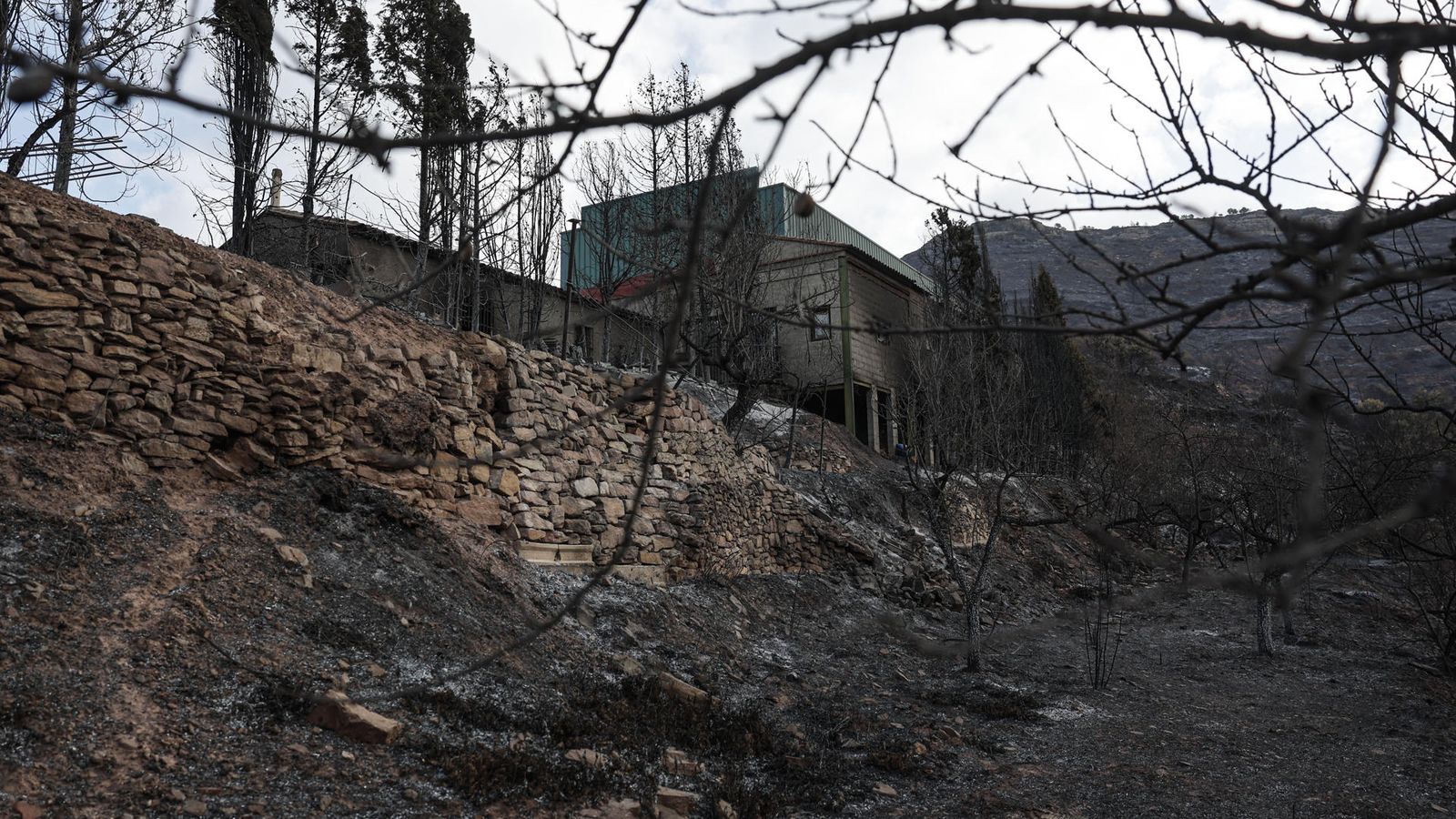 Paratge cremat a la serra de la Calderona durant l'incendi declarat el passat 20 d'agost
