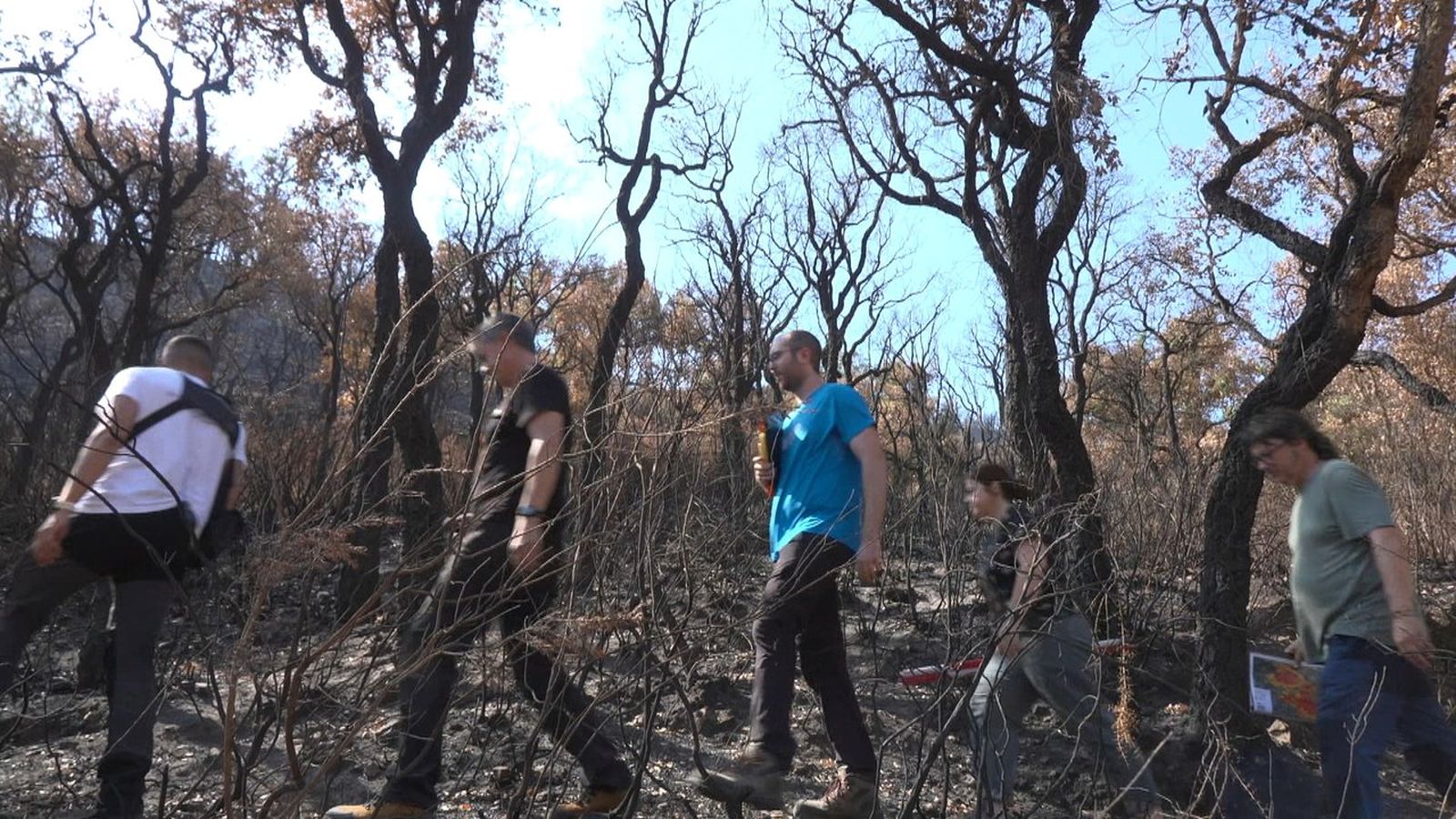 Investigadors del CEAM caminen entre les cendres a la serra d'Espadà