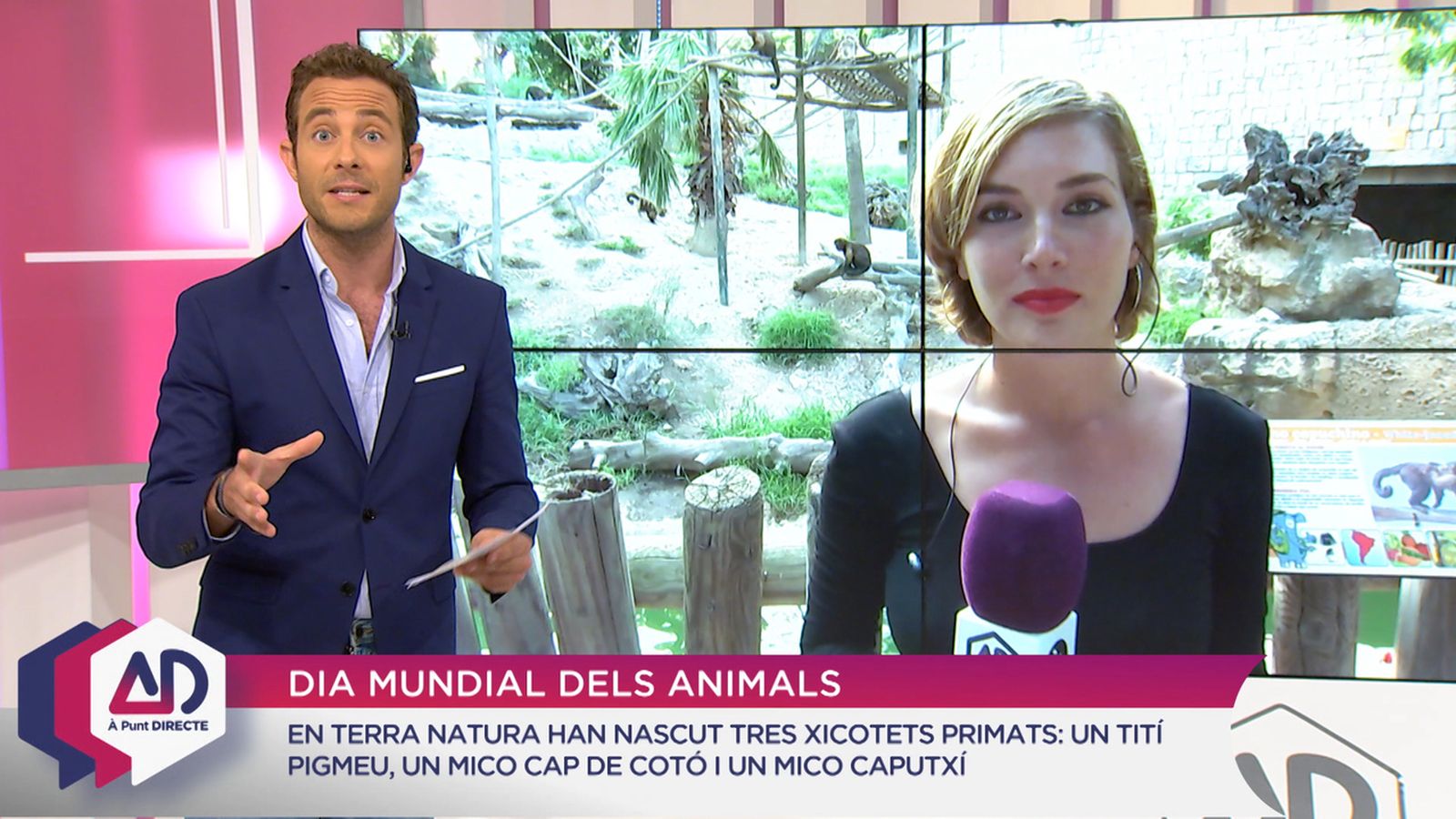 #Diamundialdelsanimals